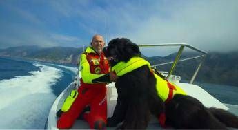 Superpowerdogs, cani bagnini protagonisti a Los Angeles Superpowerdogs, cani bagnini protagonisti a Los Angeles